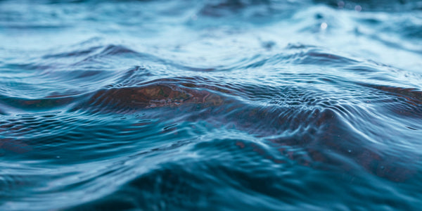 The Key to Natural Beauty: Water
